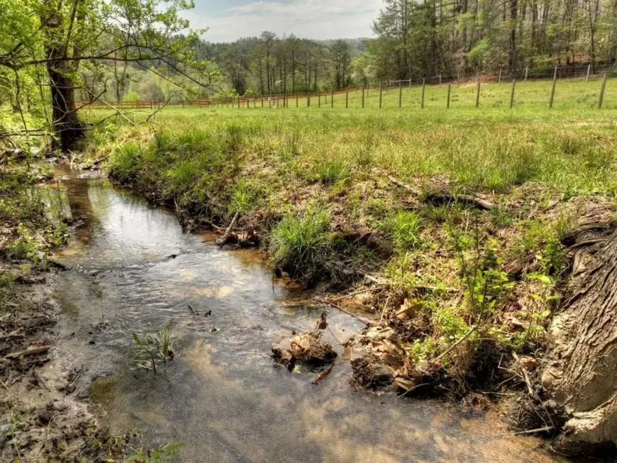 0 Hells Hollow Road, Blue Ridge, GA 30513 - Image #2