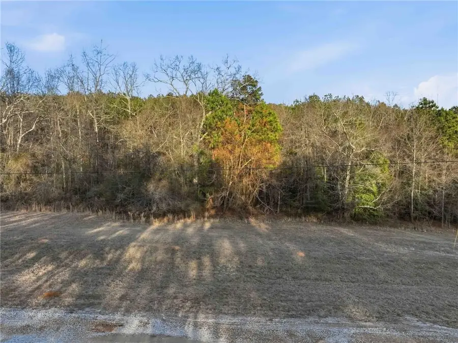 3510 Odessa Way, Loganville, GA 30052 - #3