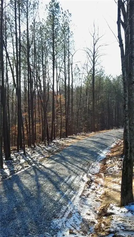 6435 Yarbrough Farm Trail, Cumming, GA 30028 - #3