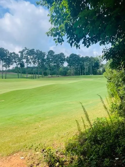 124 Hawks Court, Ball Ground, GA 30107 - #1