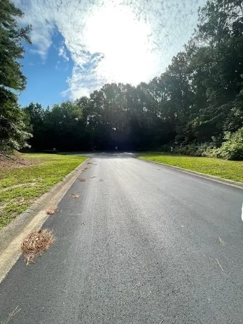 124 Hawks Court, Ball Ground, GA 30107 - #3