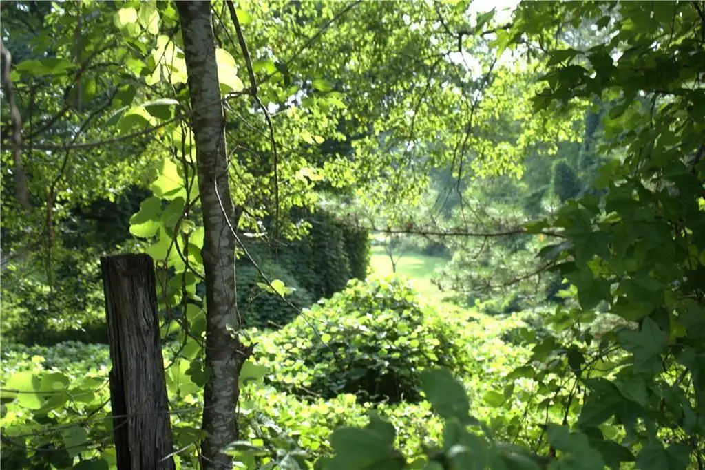 3720 James Road, Acworth, GA 30102 - #1