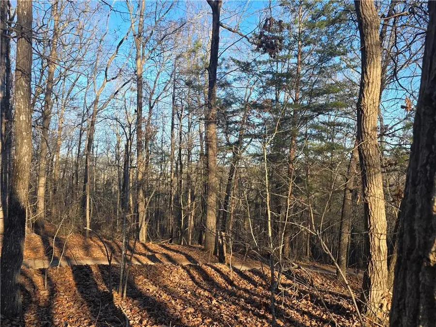 0 Carters Lake Overlook, Ellijay, GA 30540 - Image #2