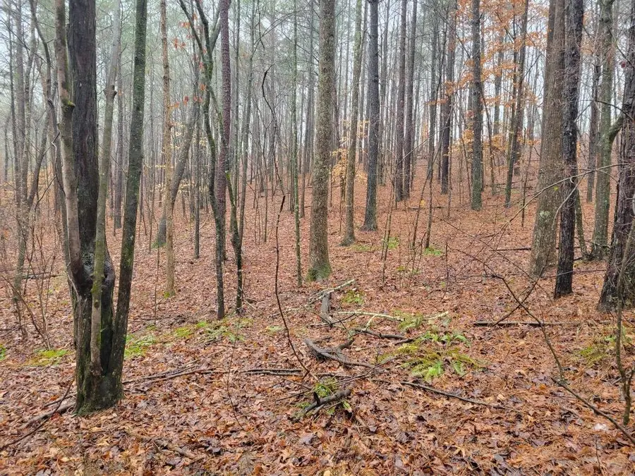 0 Carters Lake Overlook, Ellijay, GA 30540 - Image #3