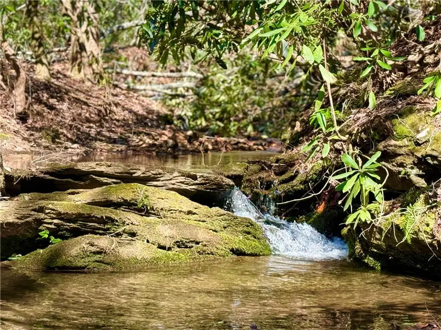 2889 Old Parker Place Rd, Ellijay, GA 30536 - Image #2