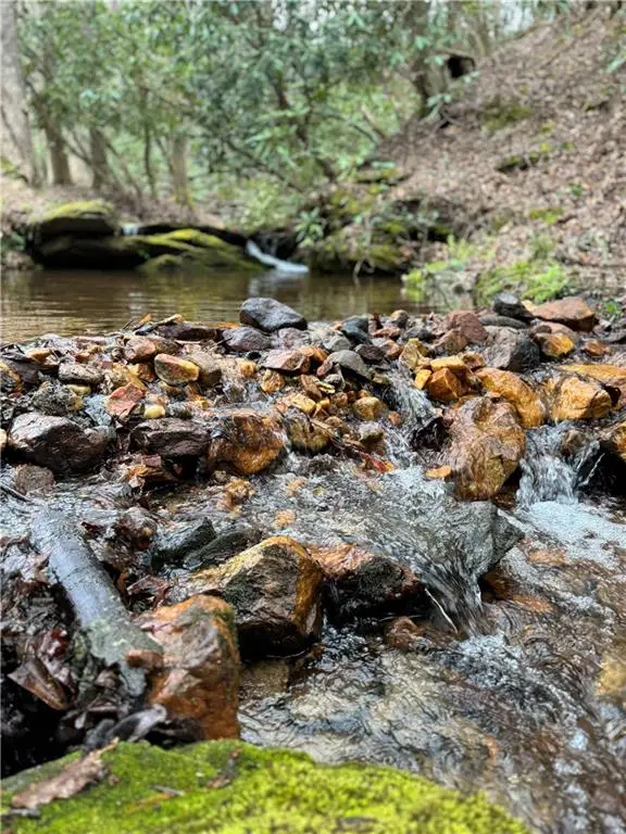 2889 Old Parker Place Rd, Ellijay, GA 30536 - Image #3