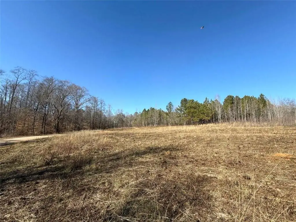 0 Ten Oaks Road, Buchanan, GA 30113 - #1