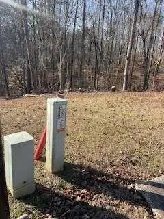 225 Standing Oak Place, Fayetteville, GA 30214 - #3