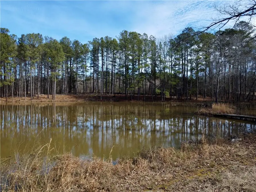 2020 Bailey Creek Road, Covington, GA 30016 - #3
