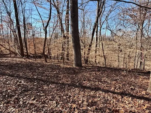 0 Arrowhead Court, Lavonia, GA 30553