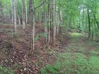 63-65 Deerwood Circle, Dahlonega, GA 30533 - #2