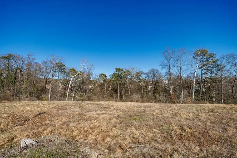 0 Shady Valley Drive Ne, Atlanta, GA 30324 - Image #3