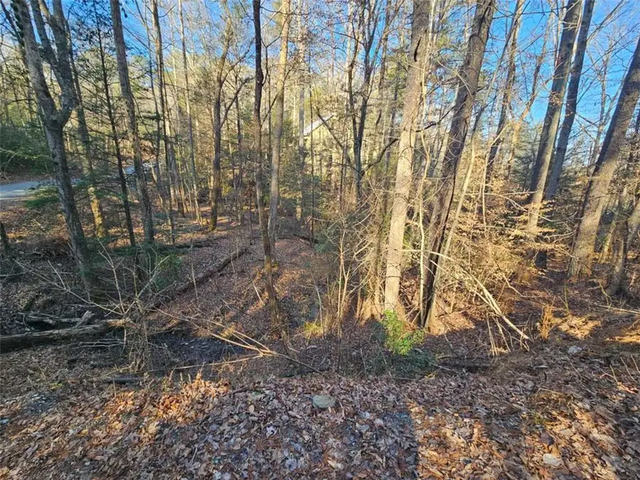 LT 162 Nexus Drive, Ellijay, GA 30540 - Image #2