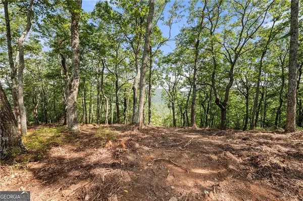 347 Highlands Drive, Clarkesville, GA 30523