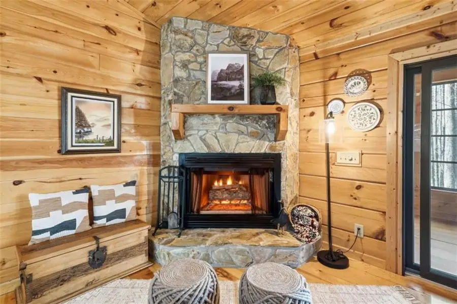 266 Chimney Rock Road, Cherry Log, GA 30522 - #3