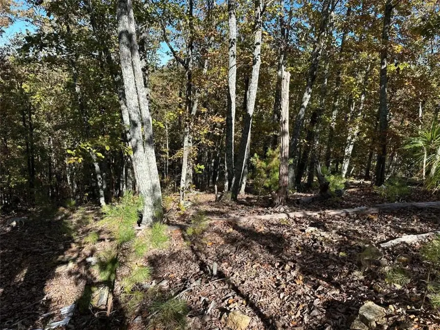 TR 3 Culp Lake Road, Cedartown, GA 30125 - #3