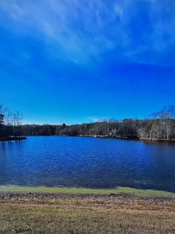 49 Challenger Way, Menlo, GA 30731 - #2