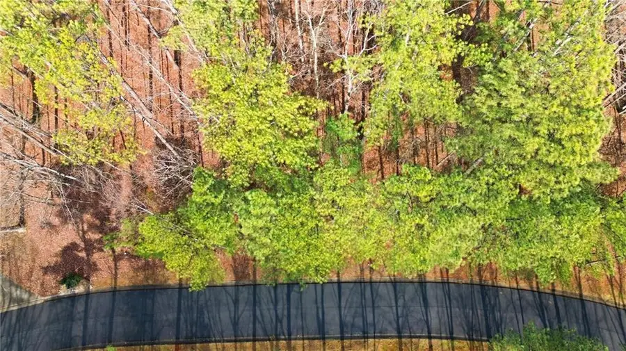 765 Plum Lane, Clarkesville, GA 30523 - #3