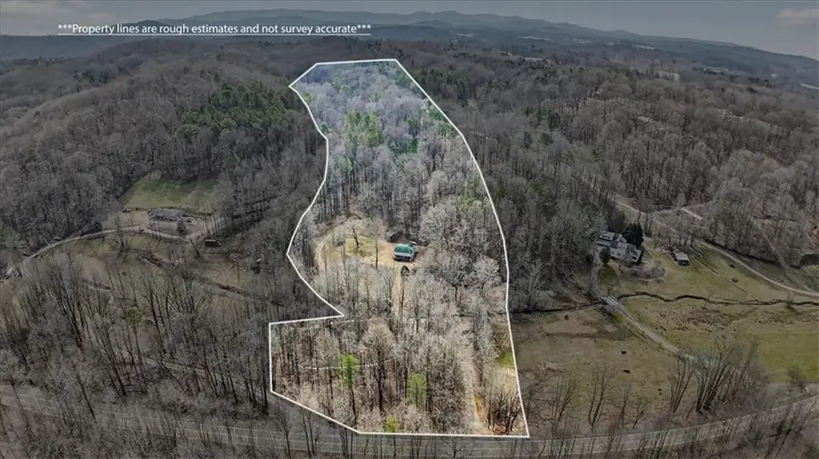 1614 Roy Road, Ellijay, GA 30536 - #2