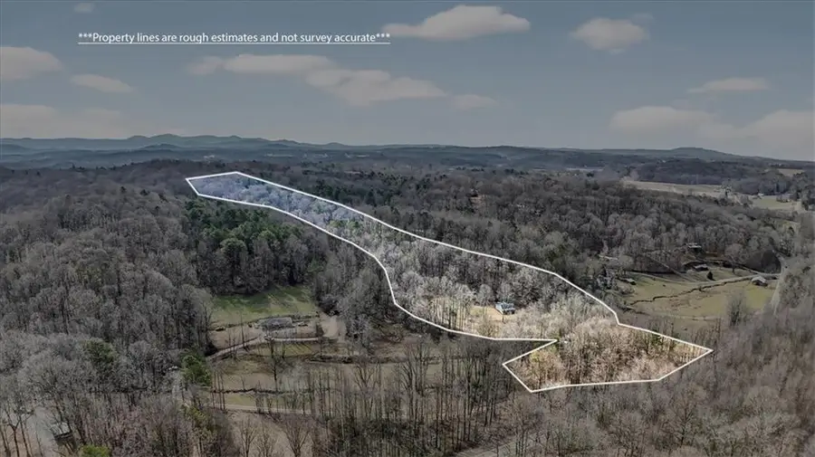 1614 Roy Road, Ellijay, GA 30536 - #3