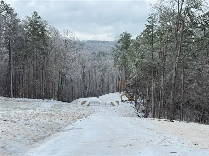 1632 Sperin Road, Ball Ground, GA 30107 - #1