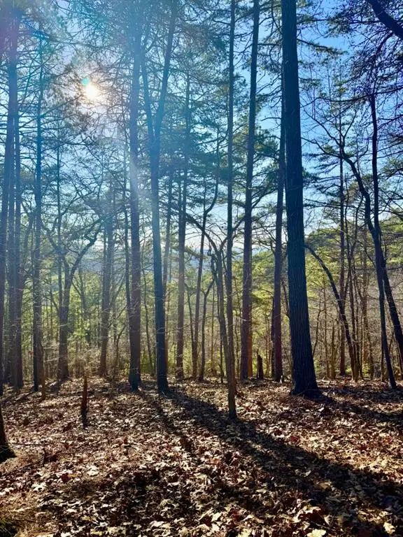 334 Packet Court, Ranger, GA 30734