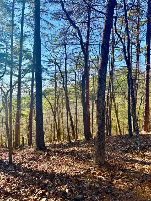 334 Packet Court, Ranger, GA 30734 - #2