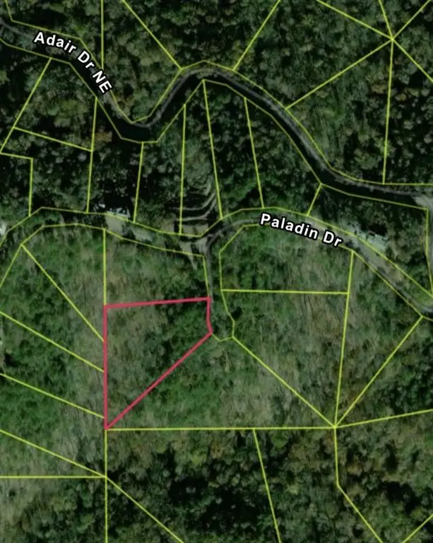 335 Packet Court, Ranger, GA 30734 - #3