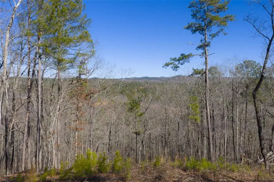 LT 285 Anglers Ridge Road, Talking Rock, GA 30175 - #2