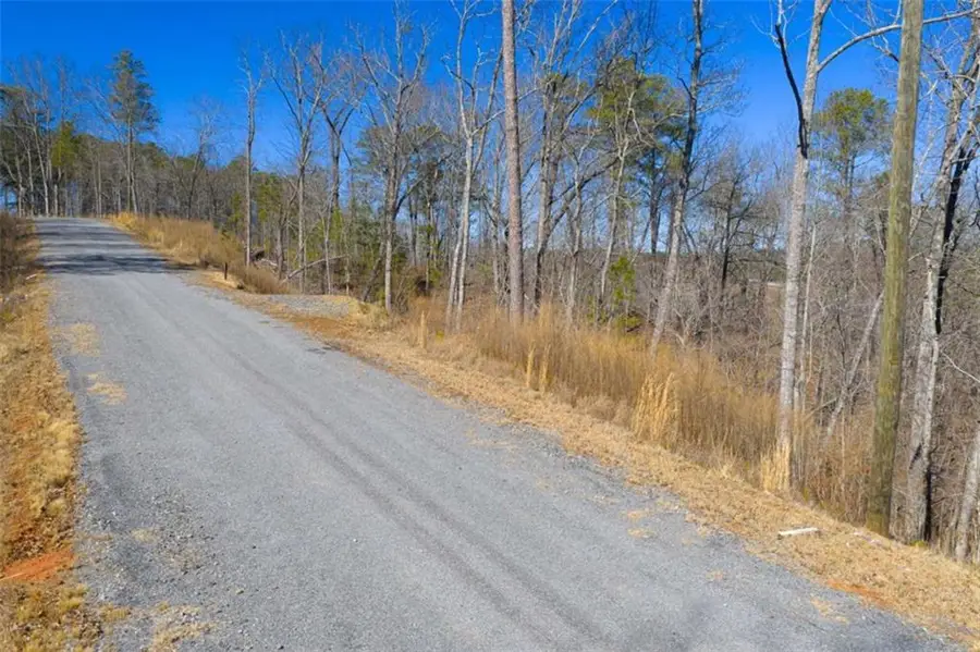 LT 285 Anglers Ridge Road, Talking Rock, GA 30175 - #3