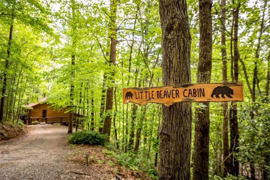 137 Little Beaver Drive, Cherry Log, GA 30522 - #1