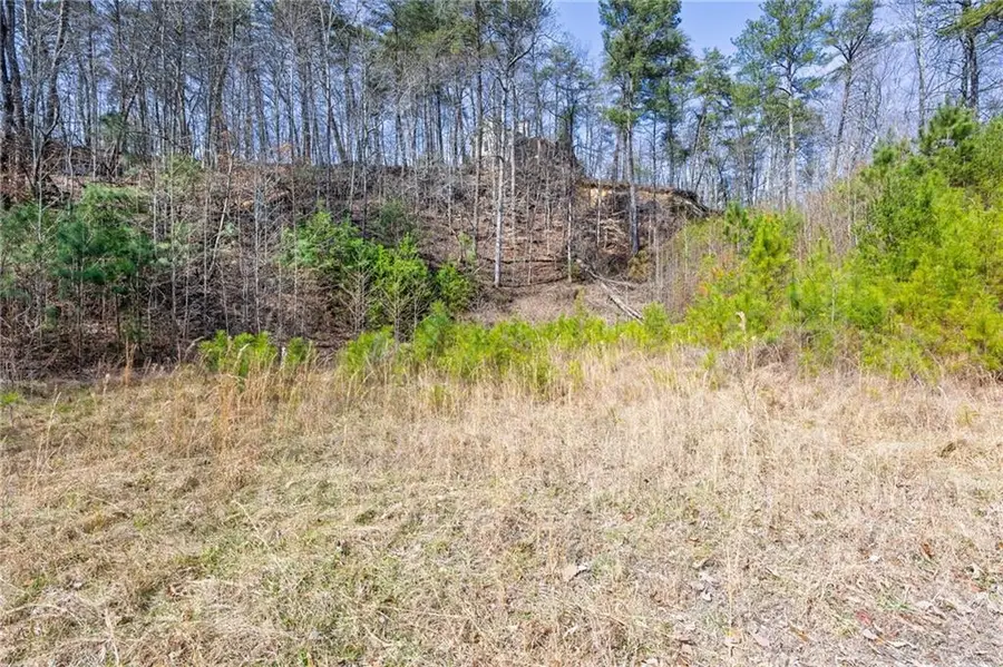 53 Somerset Lane, Cartersville, GA 30121 - #3