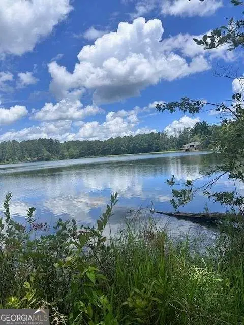 0 W Highway 34 W, Newnan, GA 30263 - #2