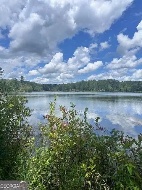 0 W Highway 34 W, Newnan, GA 30263 - #3