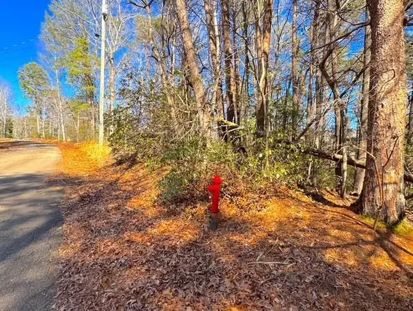 00 Horse Cove Court, Jasper, GA 30143