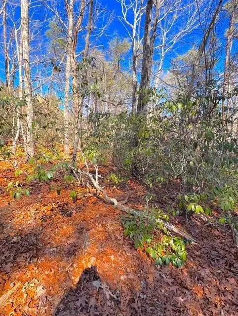 00 Horse Cove Court, Jasper, GA 30143 - #2