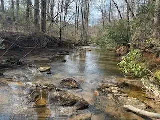 850 W Kytle Street, Cleveland, GA 30528 - #3