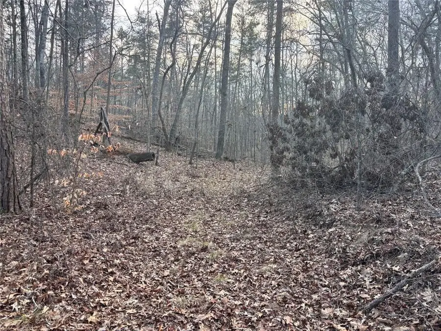 0 Kelly Bridge Road, Dawsonville, GA 30504 - #2