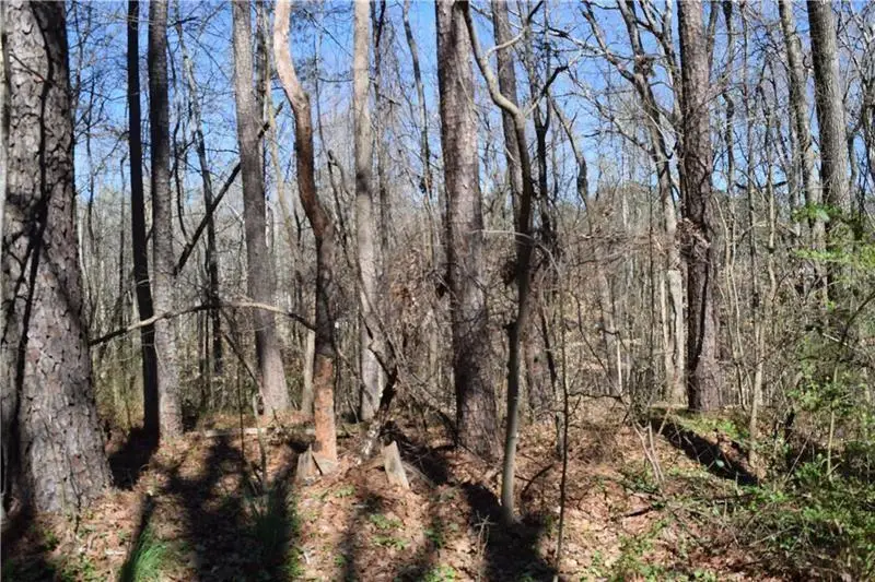 5425 Davis Drive, Austell, GA 30106 - #3