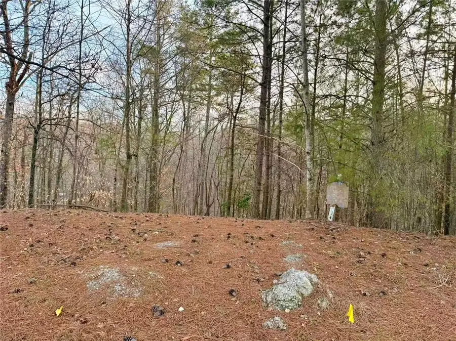 6860 Nantucket Cove, Cumming, GA 30041 - #2