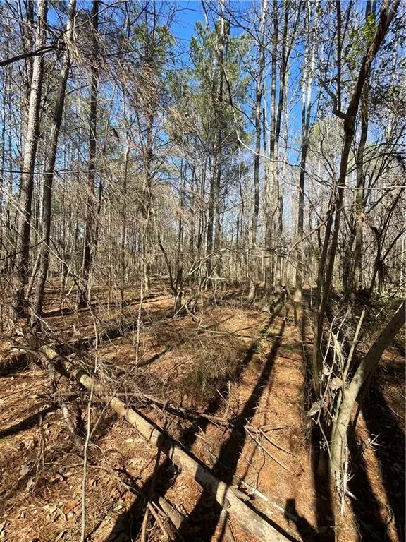 0 Brown Bridge Road, Covington, GA 30014 - #3