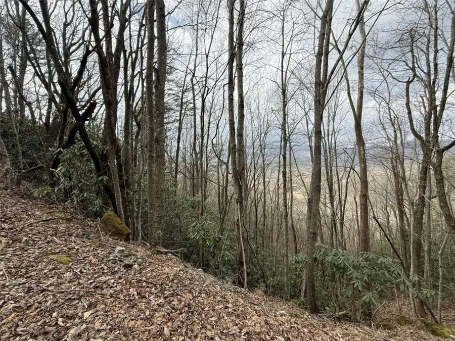 LOT416 Screamer Drive, Clayton, GA 30525 - #2