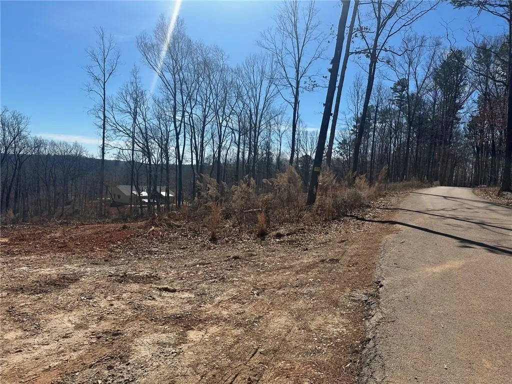 1305 Lawrence Road, Dawsonville, GA 30534 - #1