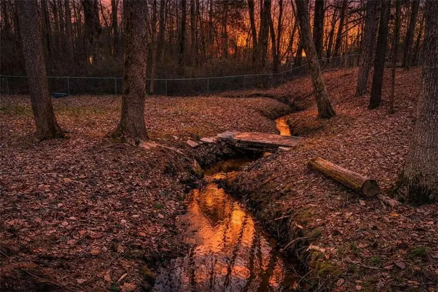 271 Heard Drive, Dawsonville, GA 30534 - #3