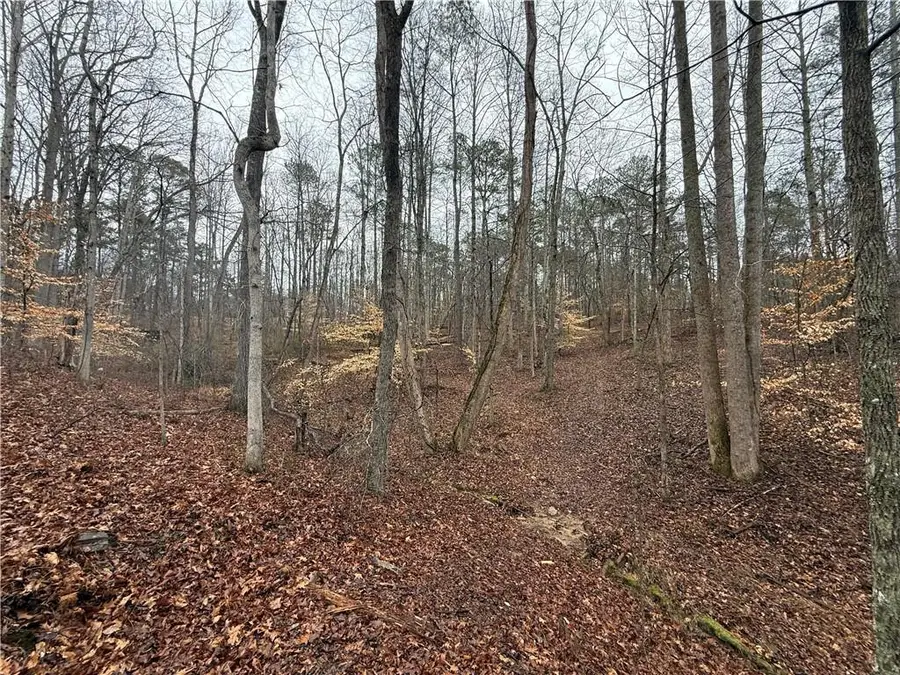 1670 Rock Springs Lane, Woodstock, GA 30188 - #2