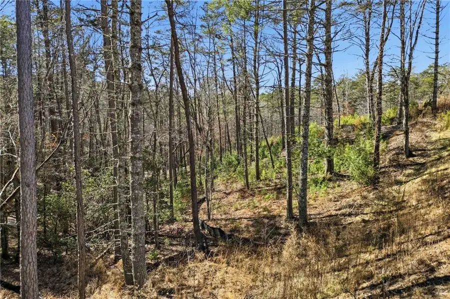 0 Mountain Laurel, Mineral Bluff, GA 30559 - #2