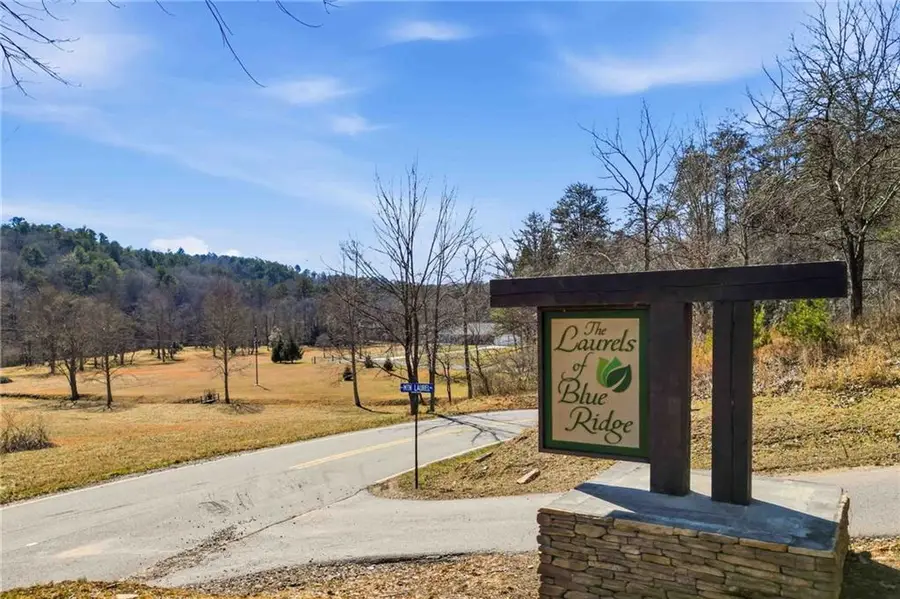 0 Mountain Laurel, Mineral Bluff, GA 30559 - #3