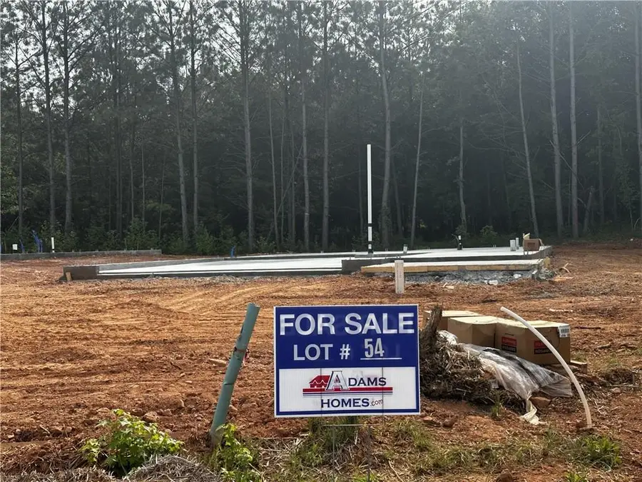 213 Laney Drive, Carrollton, GA 30117 - #2