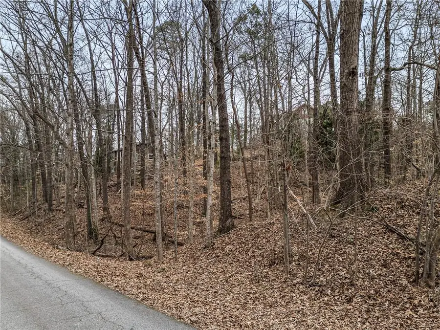 91 Remsdale Street, Toccoa, GA 30577 - #3