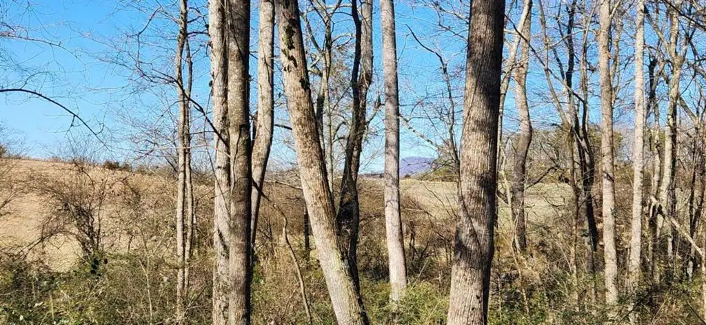 5500 Brookton Lula Road, Gainesville, GA 30506 - #1